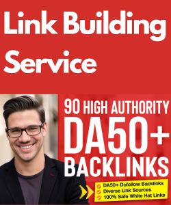 Link Building SEO Freelancer
